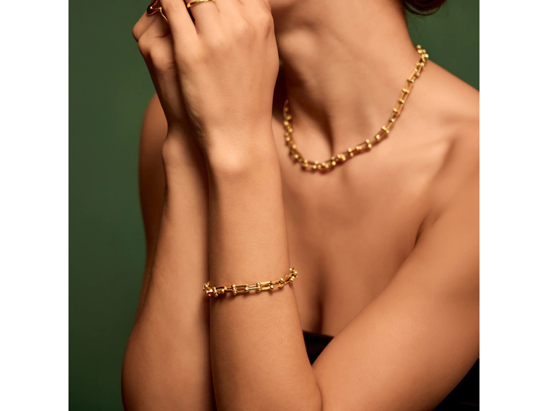 Waterproof Stainless Steel Horseshoe Chain Bracelet at Rs 3497 against Rs 4995 on Accessorize London