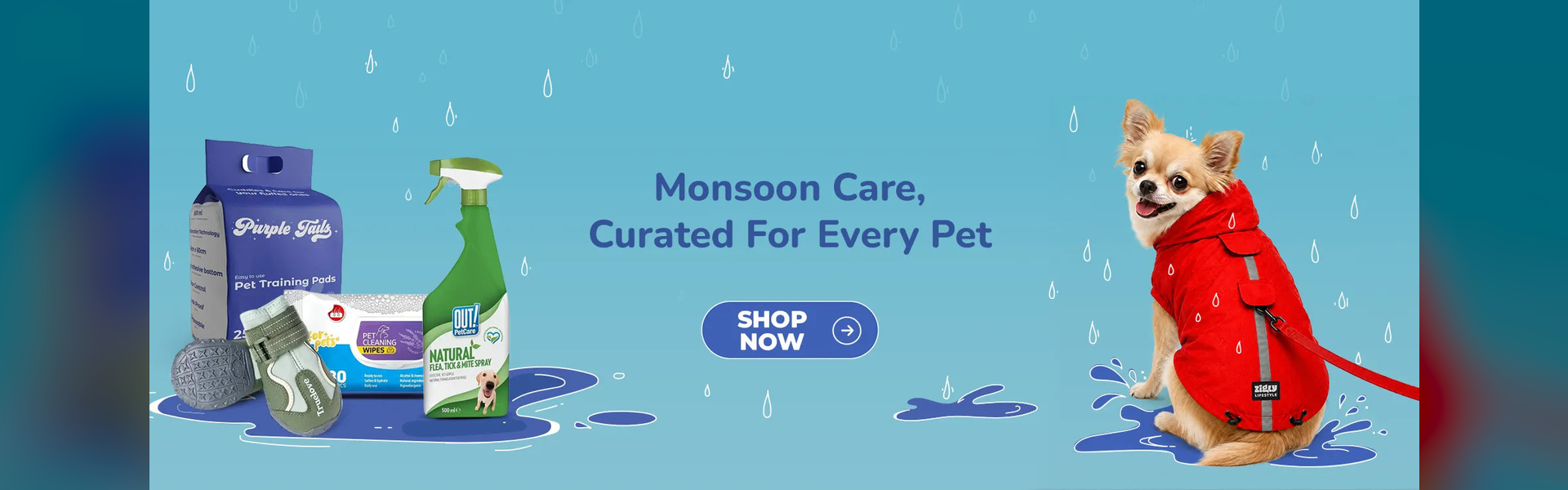 Up to 60% Off at Zigly